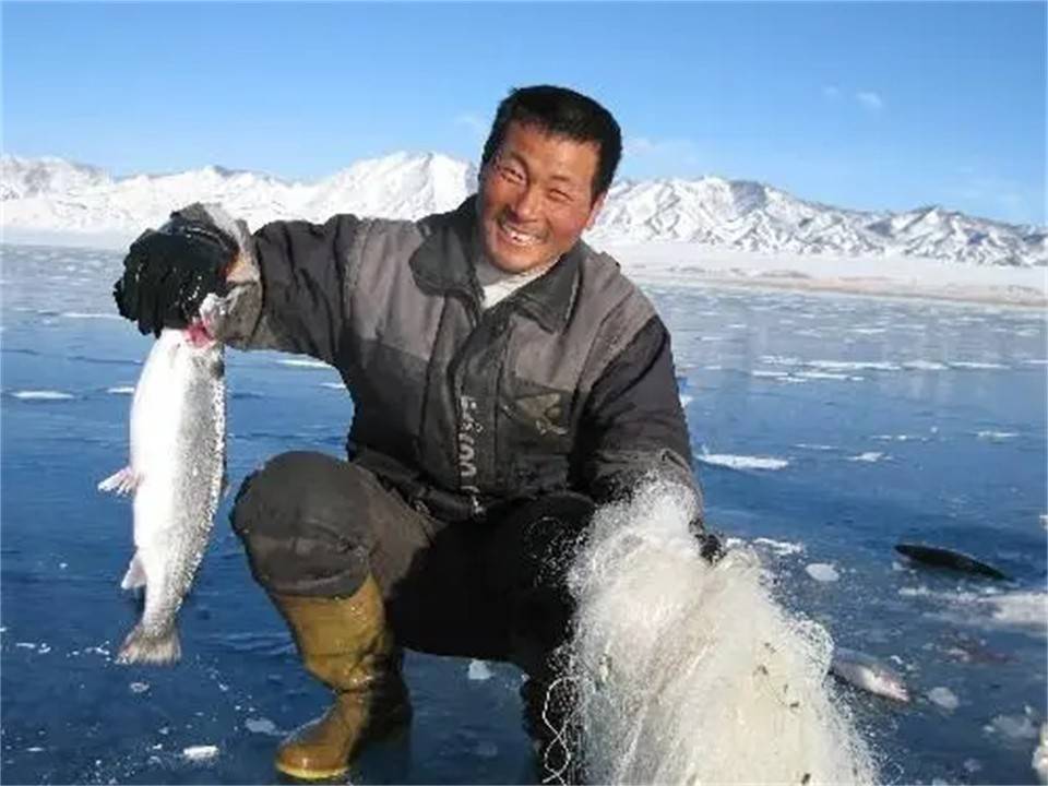 新疆沙漠遍布极其干旱，为何能成为渔业大省？鱼是从哪来的？