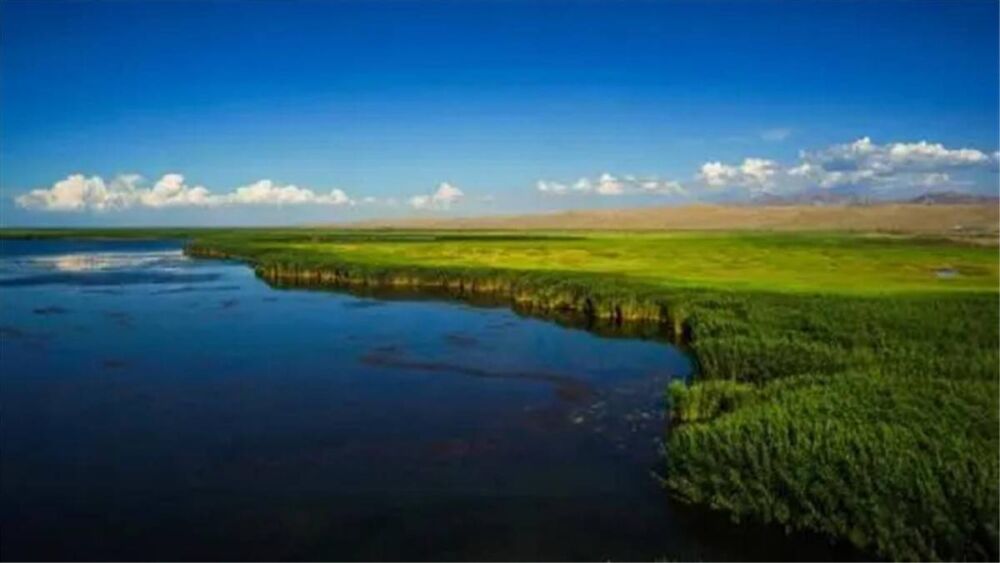 新疆沙漠遍布极其干旱，为何能成为渔业大省？鱼是从哪来的？
