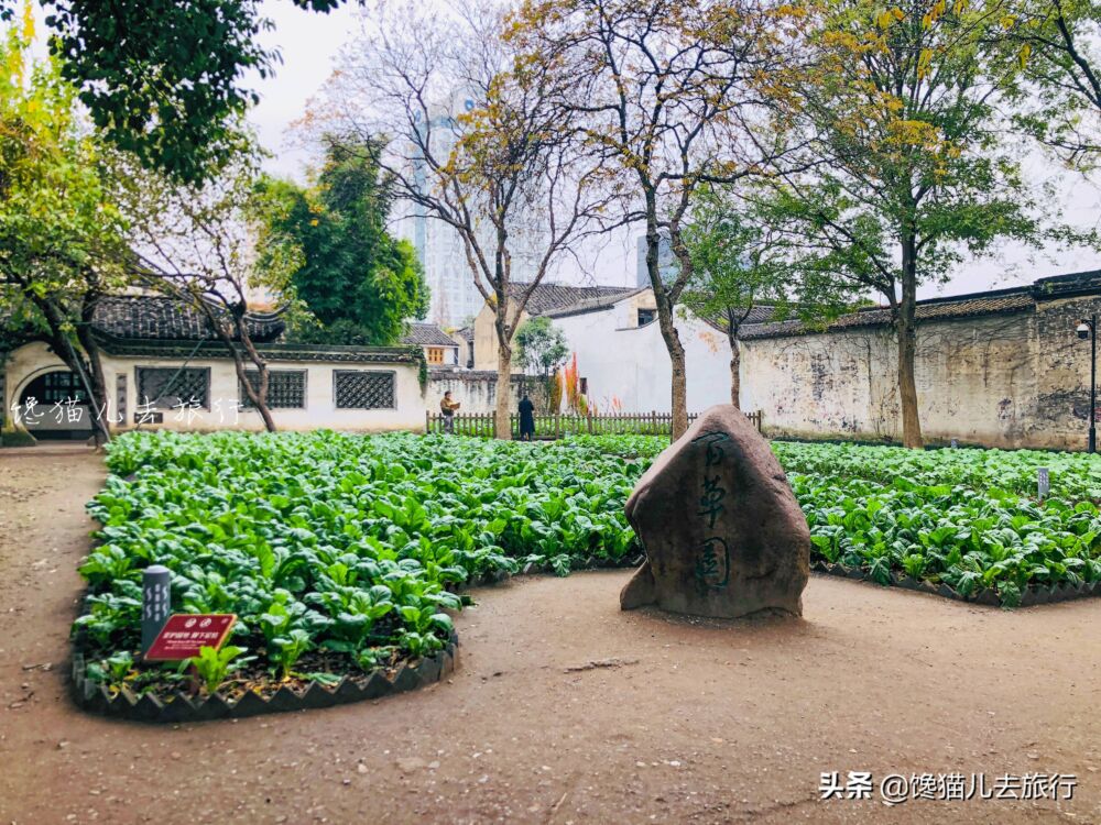 浙江绍兴必去的景点有哪些？倾情推荐免费的“水乡景色天花板”