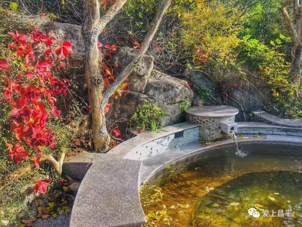 登高赏秋览美景，享美食泡温泉，京郊还有这些秋游好去处