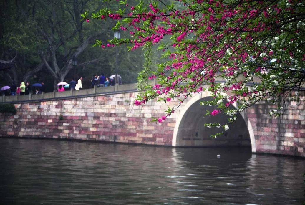 中国八大赏桃花圣地，花开遍野，沾上春天的香气