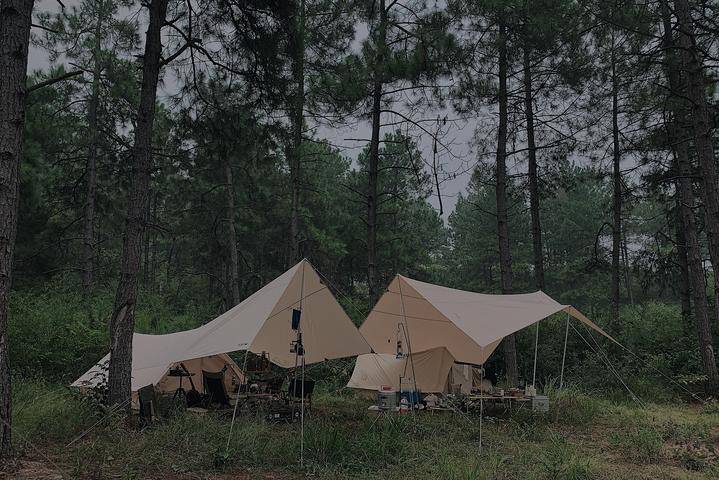 85后杭州夫妻有个野外“快闪家”：自己生火做饭搭帐篷，远离手机睡得更香