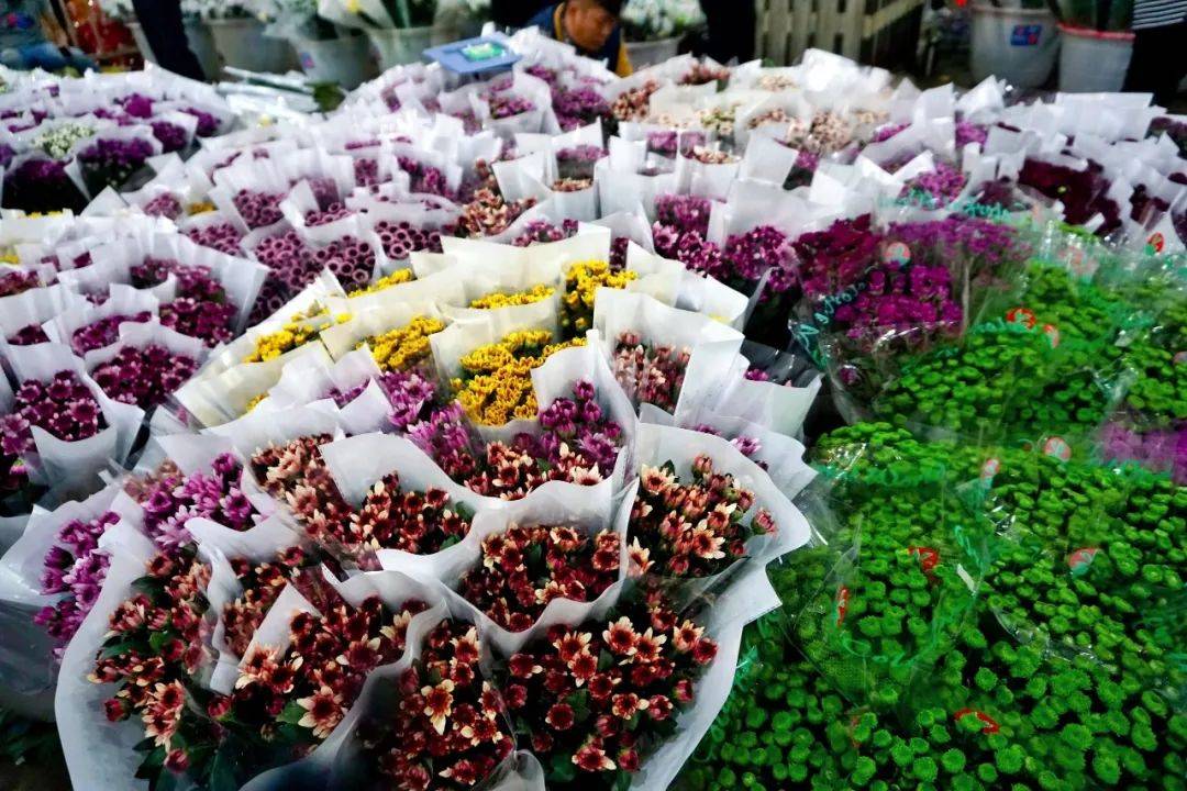十块钱30支玫瑰，打卡全国最大的鲜花批发市场，买花比买菜便宜