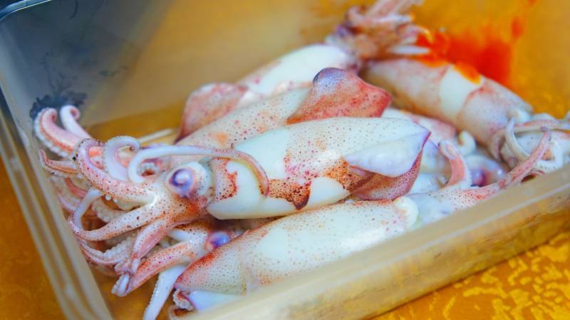 广东游记：在湛江遂溪的这个小镇旅行7天，吃到10种特别的海鲜