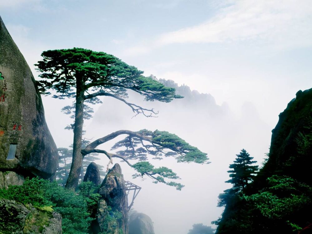 中华十大名山，登山旅游的好去处，你去过几个