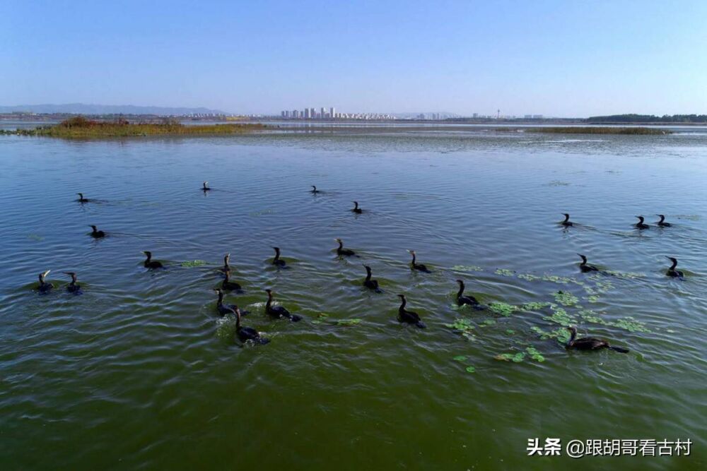 想不到八仙里倒骑驴的张果老，家乡是在山西长治漳泽湖畔