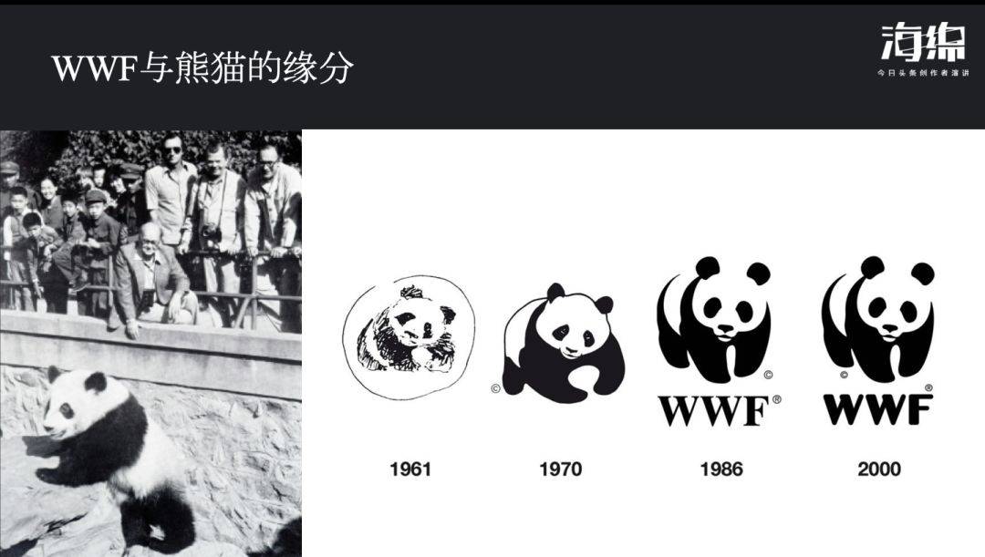野生大熊猫真是传说中的“食铁兽”吗？绝大部分只会安静吃竹子