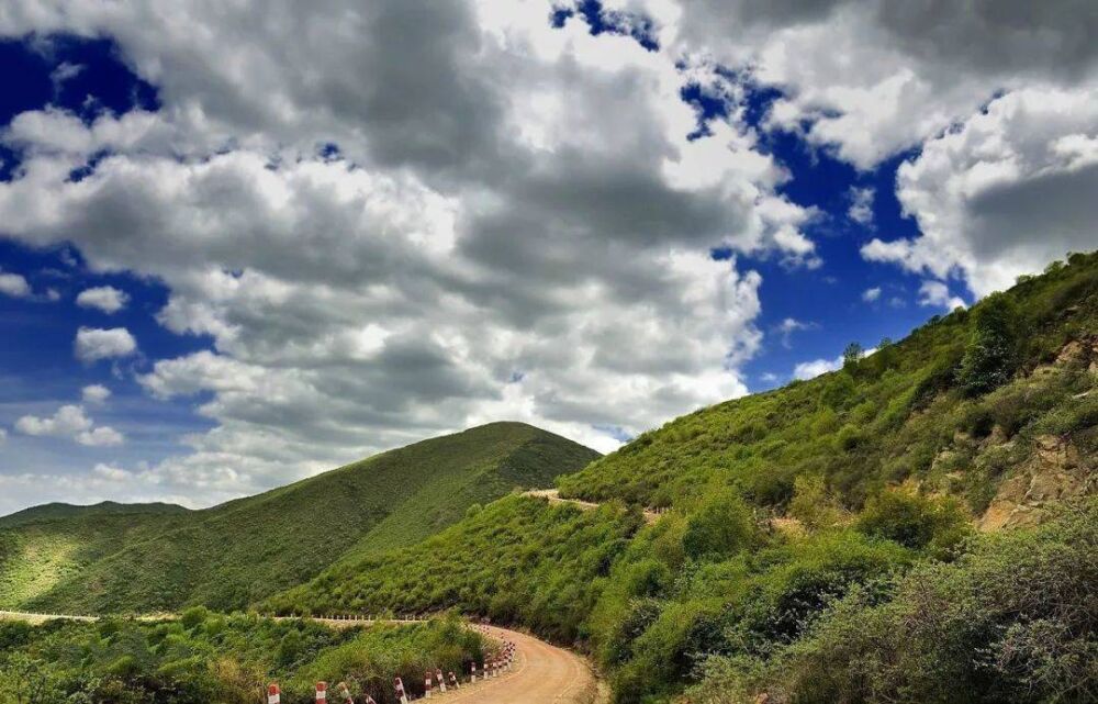 陇上名家谈甘肃 | 南山南