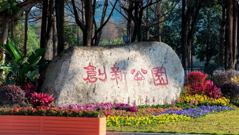 到广州黄埔去，赏一场浪漫花海盛宴