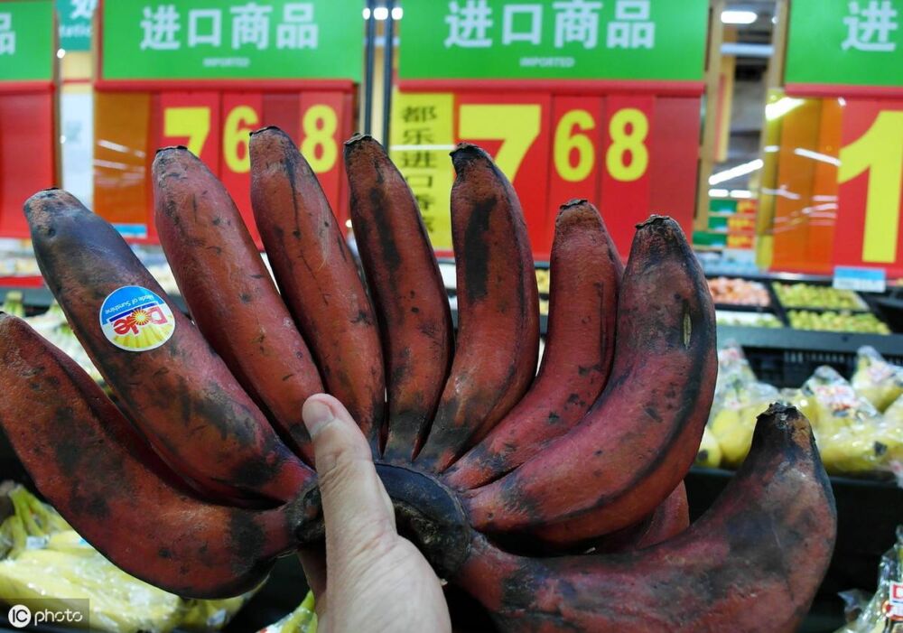 红皮香蕉成熟度分辨与催熟方法大全