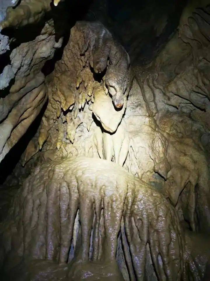 浙江发现一个5亿年前的溶洞，里面令人惊叹