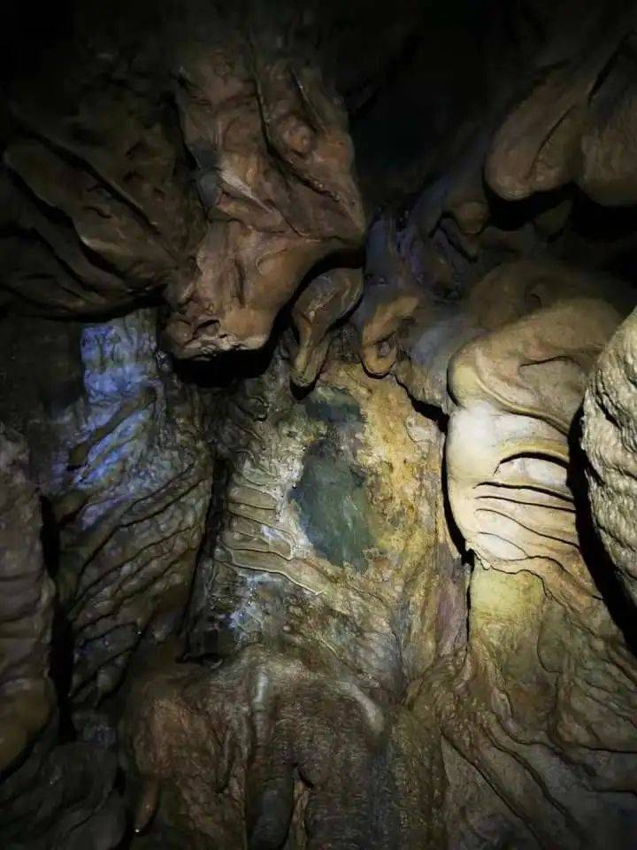 浙江发现一个5亿年前的溶洞，里面令人惊叹