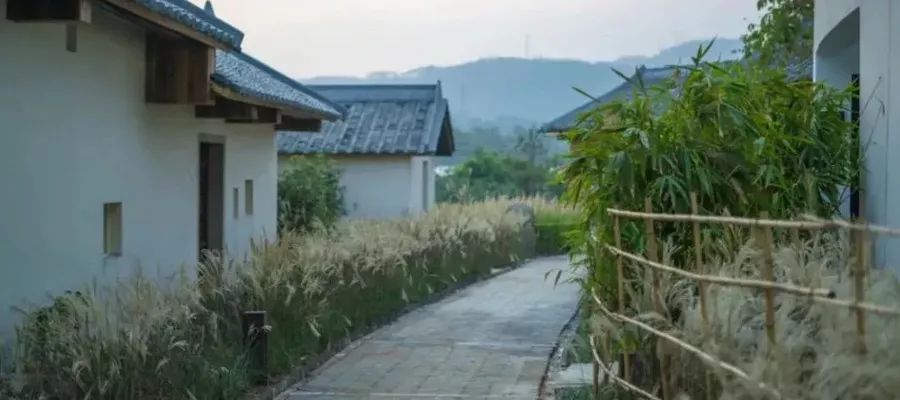 深圳周边3家超有意境的民宿，​感受一把田里稻花香丨南方民宿