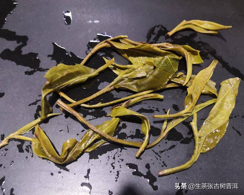 普洱茶能存放多久？存放时间长了，冲泡完，普洱茶渣还能要吗？