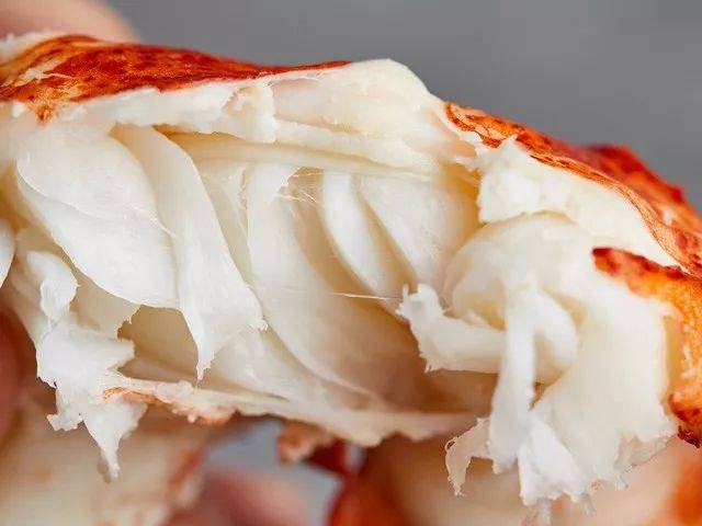 一斤重的波士顿大龙虾，从北大西洋送到你手中，还是活的！
