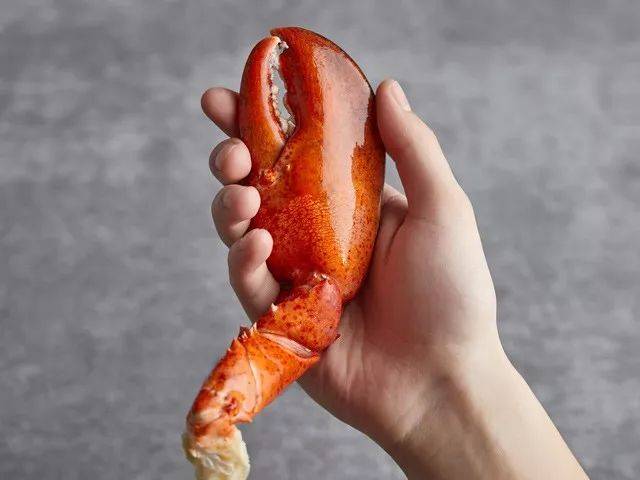 一斤重的波士顿大龙虾，从北大西洋送到你手中，还是活的！