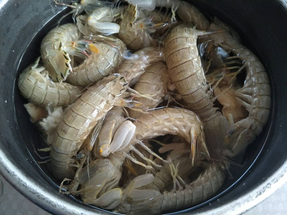 蒸皮皮虾，是冷水入锅还是热水？教你好吃的做法，皮皮虾鲜嫩味美