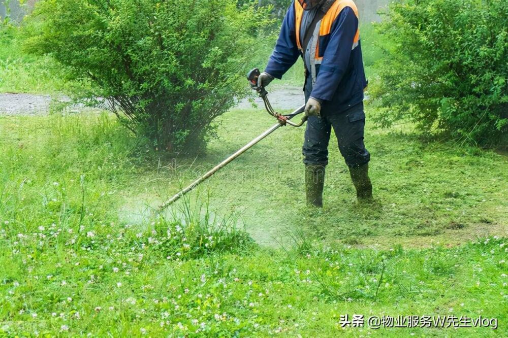 物业绿化养护测算费用（仅参考）