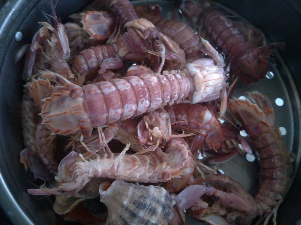 蒸皮皮虾，是冷水入锅还是热水？教你好吃的做法，皮皮虾鲜嫩味美
