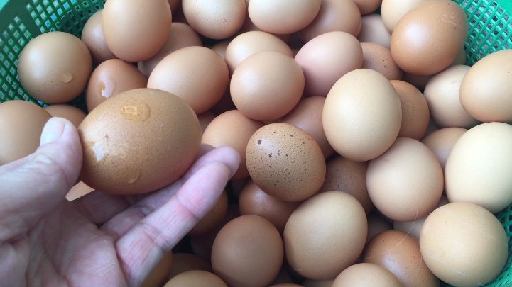 妈妈用祖传土方法腌鸡蛋，40天个个起沙流油不空心，做法简单好学