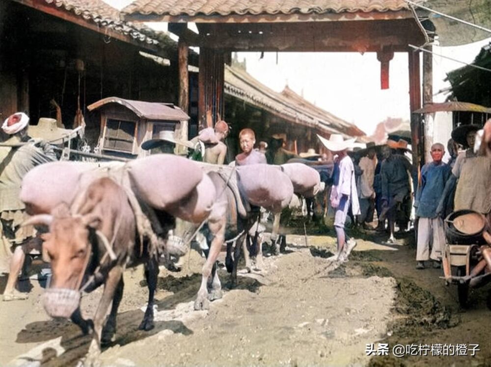 老照片：1917年的四川都江堰，“山水入怀、生活道场”的灌县古城