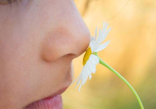 鼻子突然闻不到任何味道，可能是这5种原因造成的！