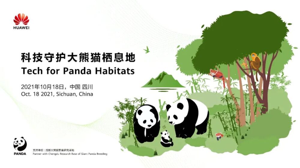 行业观察｜保护大熊猫，是时候讲个新故事了