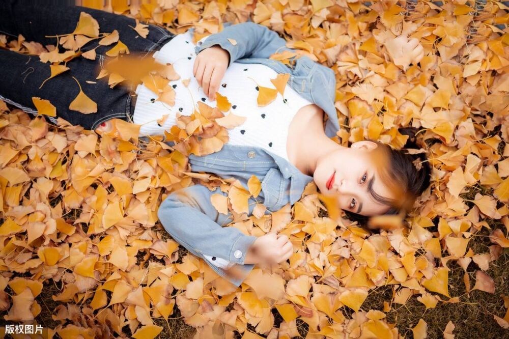 （儿童科普）为什么秋天树叶会脱落？