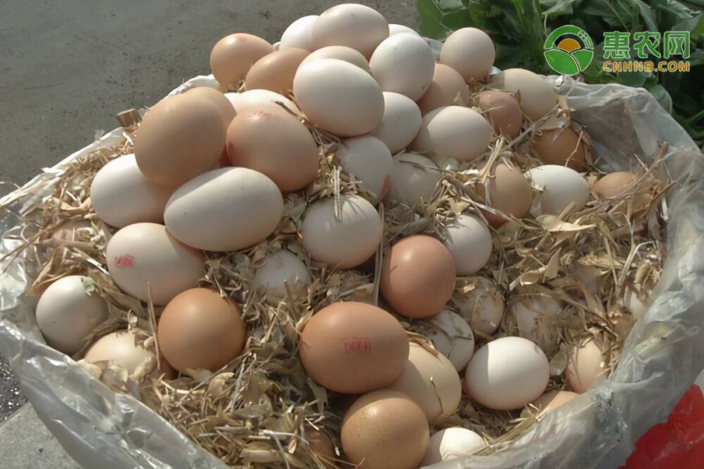 你知道鸡蛋保质期是多久吗？如何避免鸡蛋发臭呢？