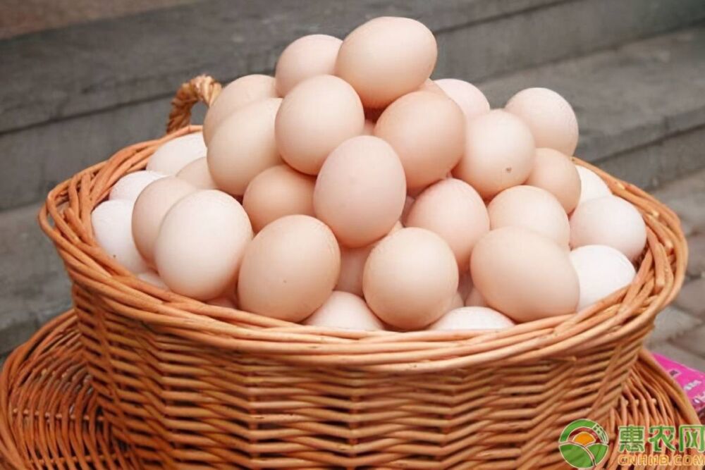 你知道鸡蛋保质期是多久吗？如何避免鸡蛋发臭呢？
