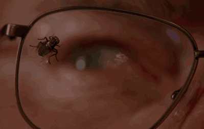 为什么澳大利亚的苍蝇这么多，还喜欢追着人跑？