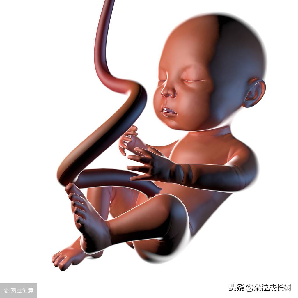 宝宝脐带绕颈是妈妈睡觉姿势导致？真实原因在这里