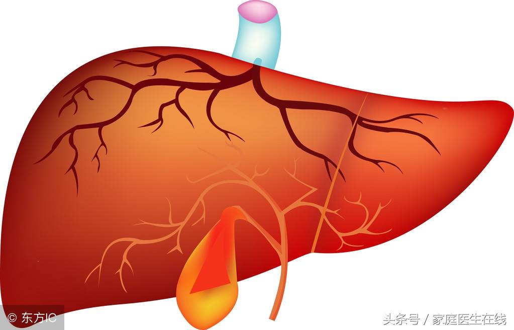 长期食欲不振，可能与这个疾病有关，最好去医院检查一下