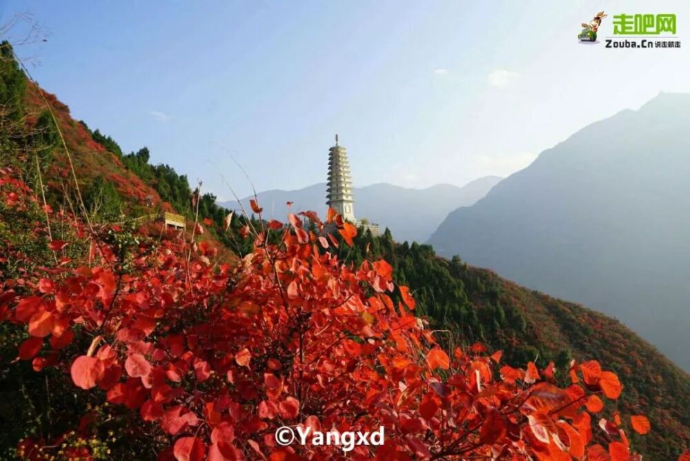 北上看雪，南下看花，这12个地方承包年末旅行