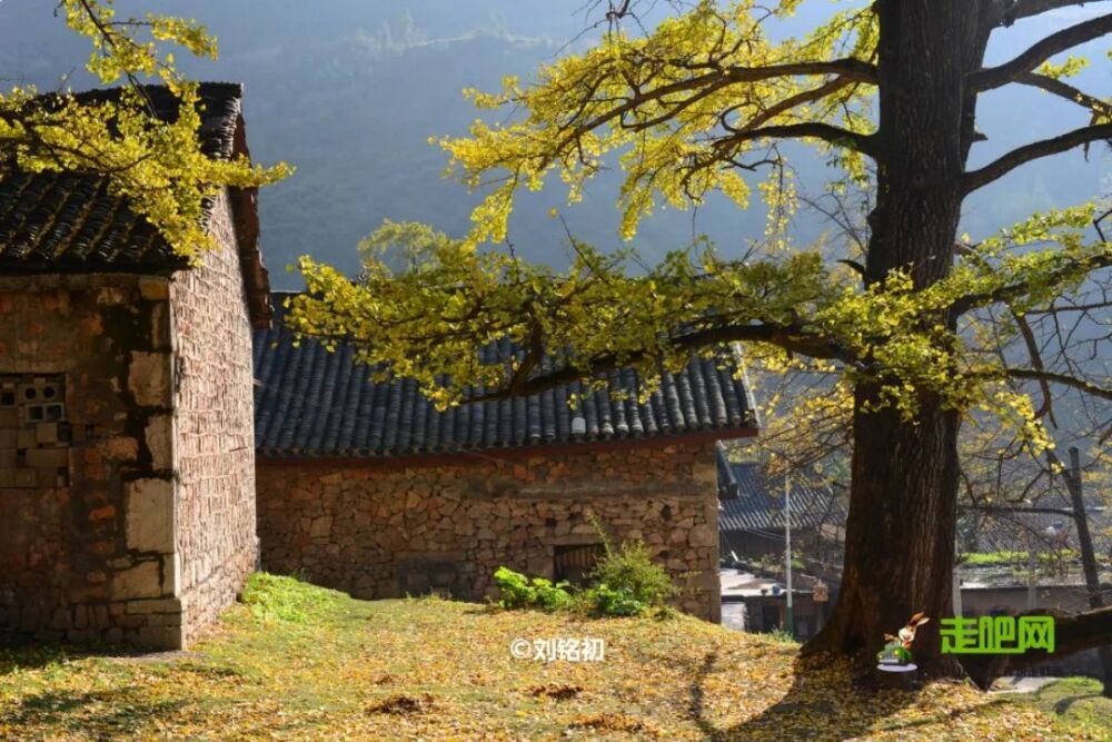 北上看雪，南下看花，这12个地方承包年末旅行