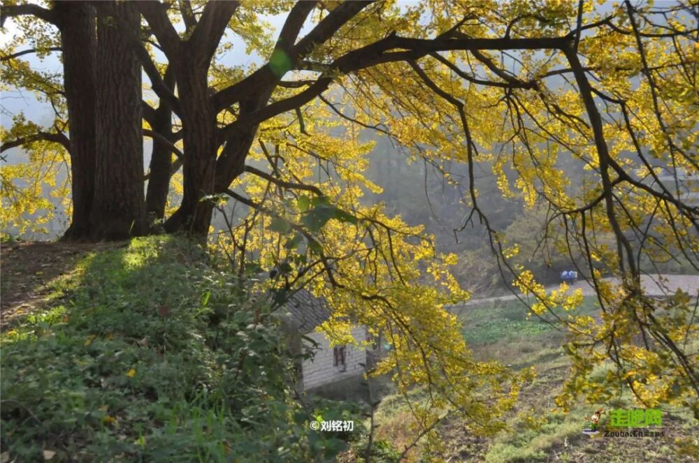 北上看雪，南下看花，这12个地方承包年末旅行