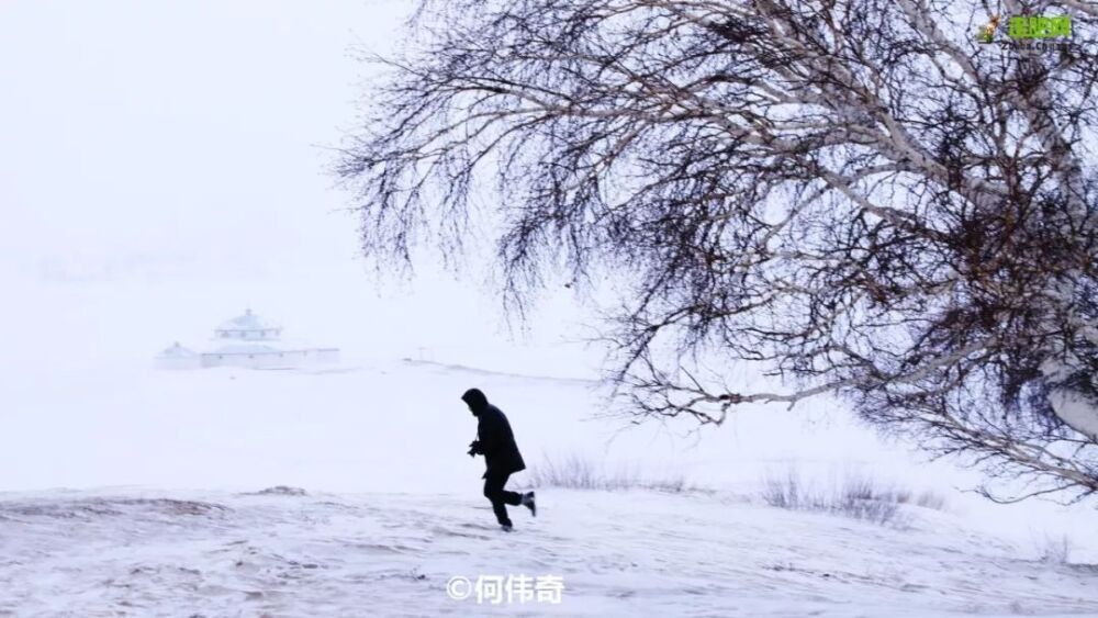 北上看雪，南下看花，这12个地方承包年末旅行