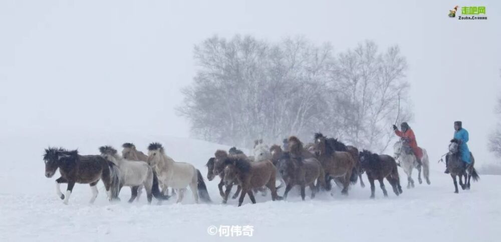 北上看雪，南下看花，这12个地方承包年末旅行