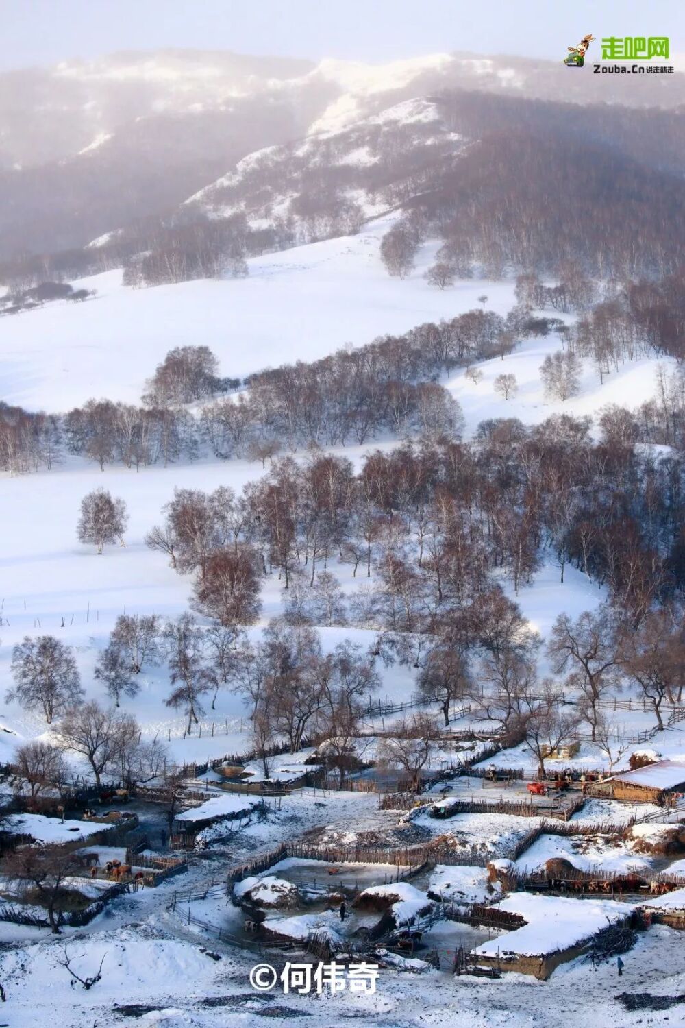 北上看雪，南下看花，这12个地方承包年末旅行