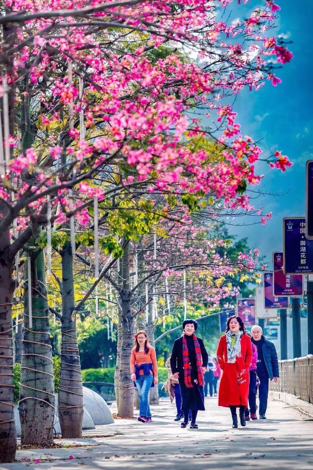 北上看雪，南下看花，这12个地方承包年末旅行