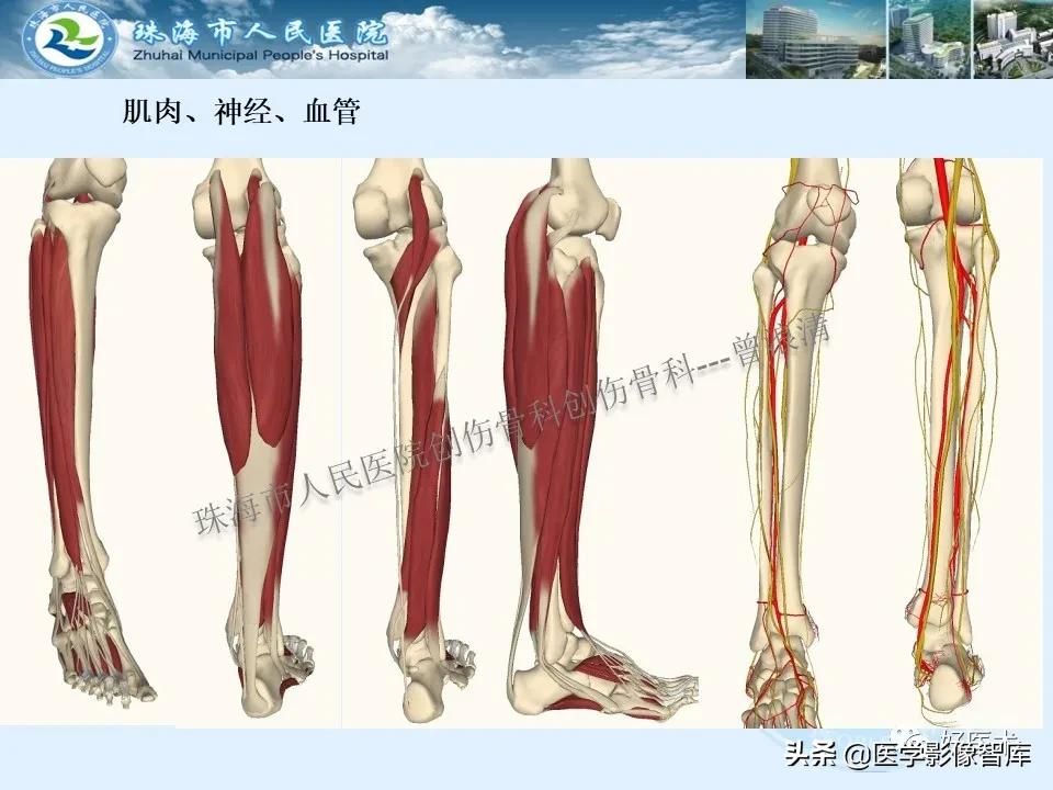 独立值班必备：66张胫骨骨折图解，不怕主任提问了