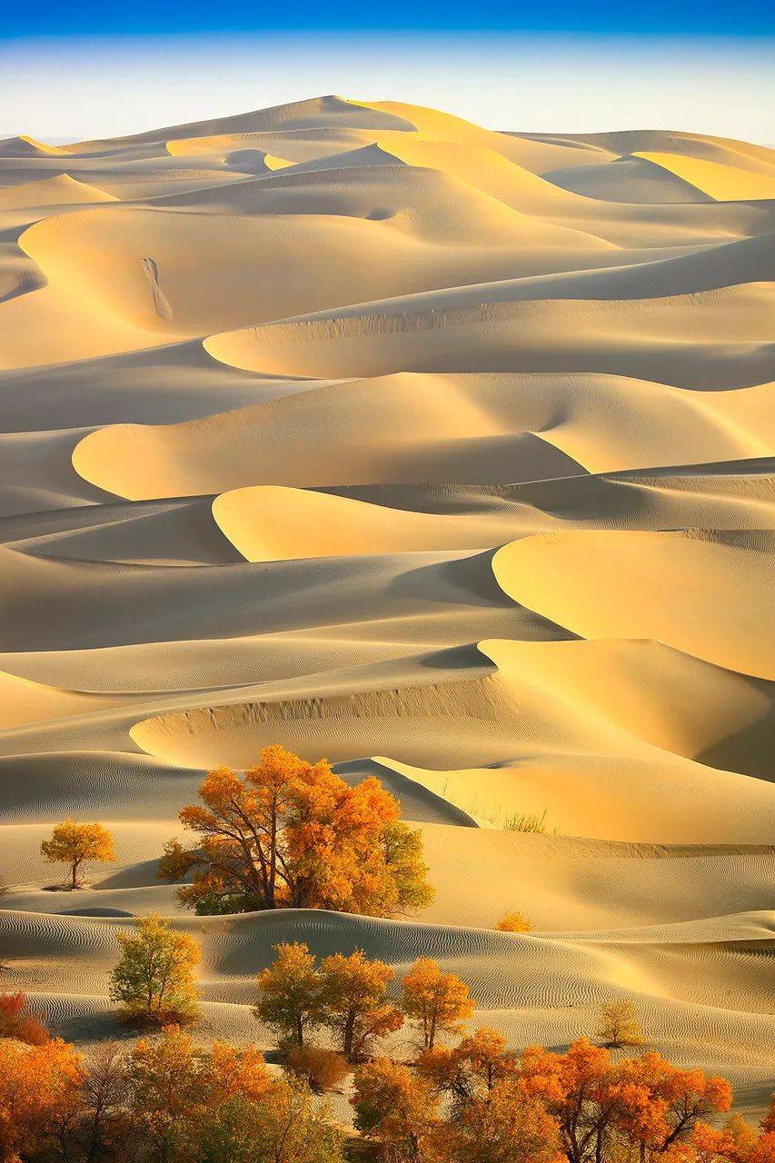 塔克拉玛干沙漠，中国最大的沙漠才不是“死亡之海”！