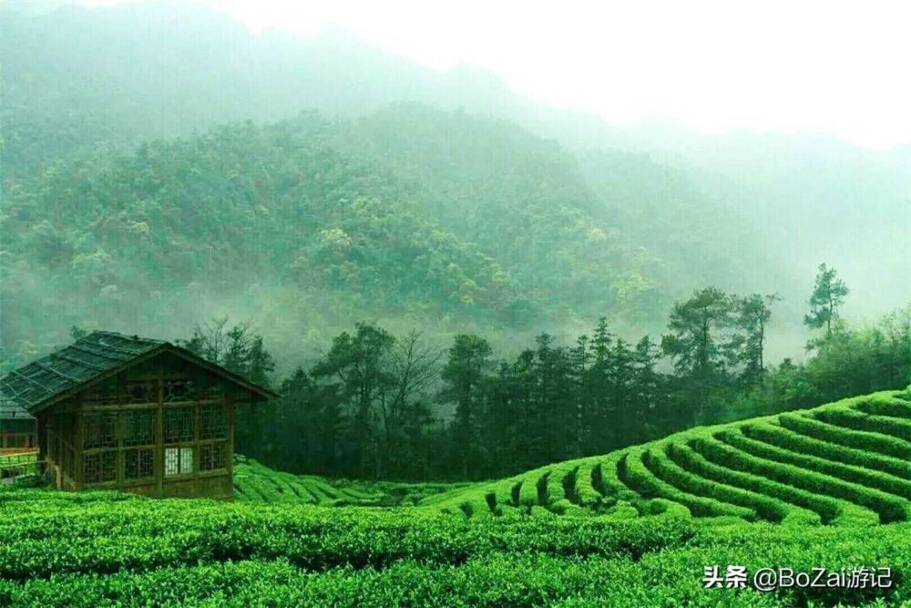来广西贺州旅游，这8个景点不能错过，你去过几个？