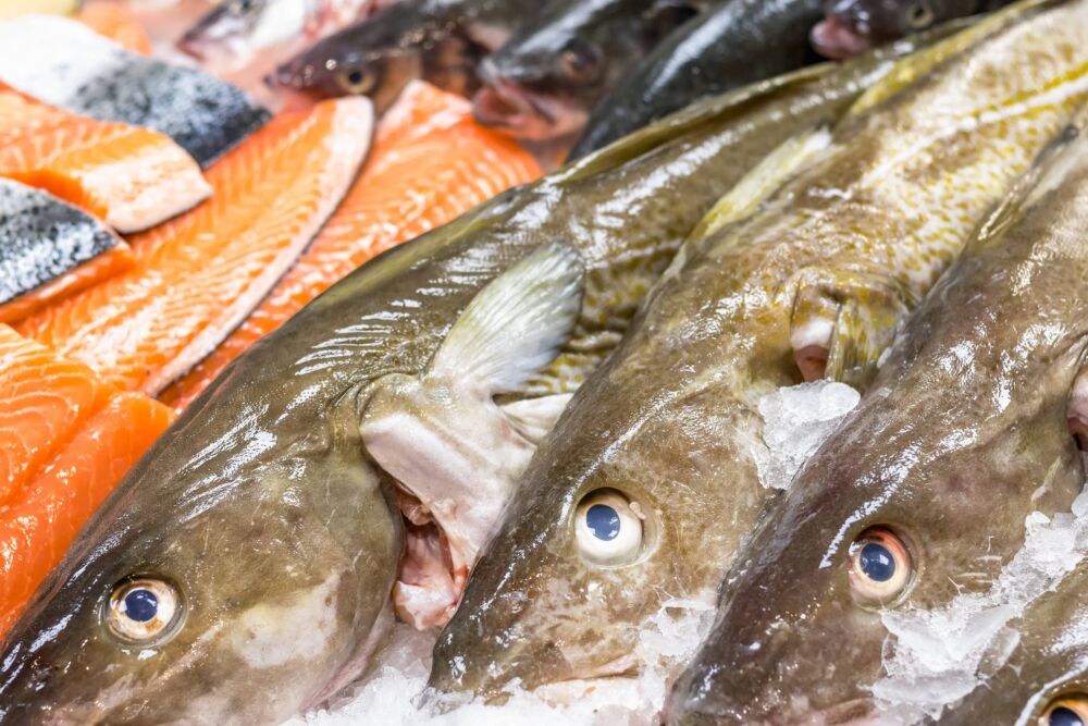 中国有什么好吃的海鱼？老渔民推荐您这6种，味道鲜美，物美价廉