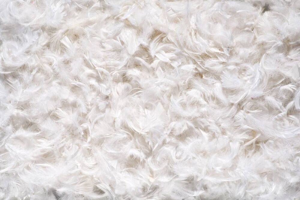 被怎么选？纯棉、化纤、羽绒什么的有什么区别？