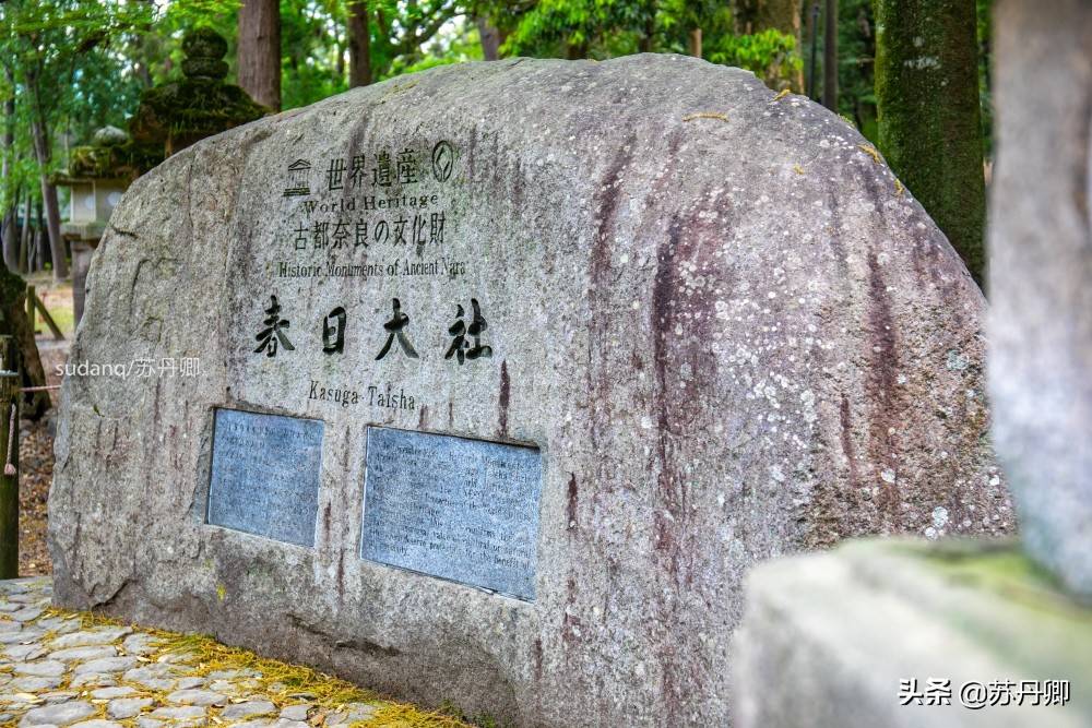 实拍古都奈良，日本三大神社之一：充满石灯笼与神的使者