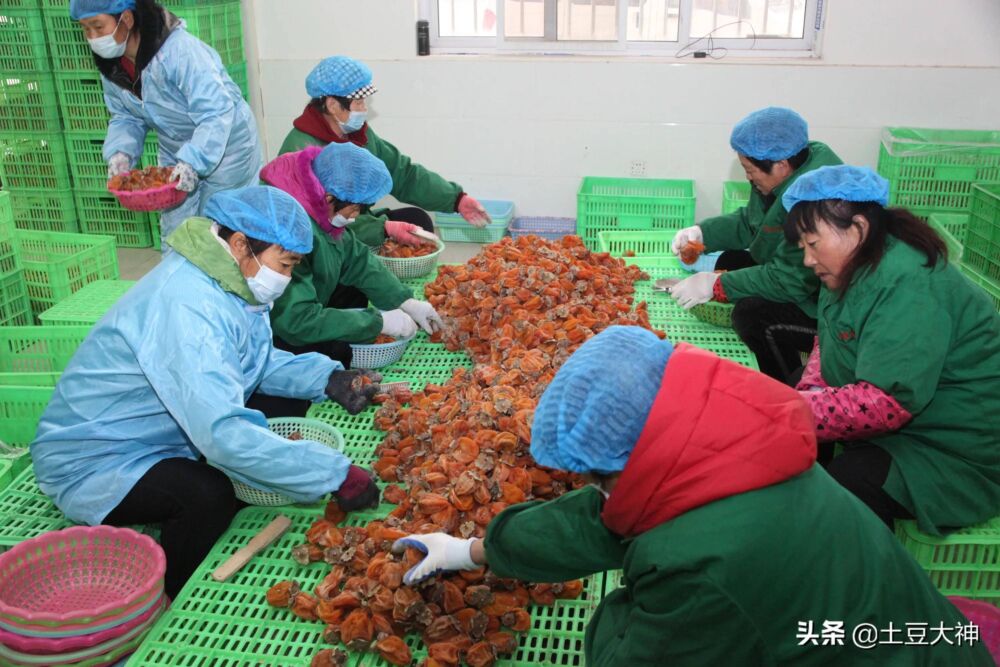 富平柿饼最好的是这个镇