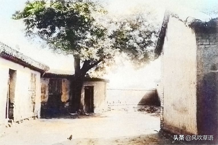 天津旧影1901：庚子国变后的武清县杨村镇