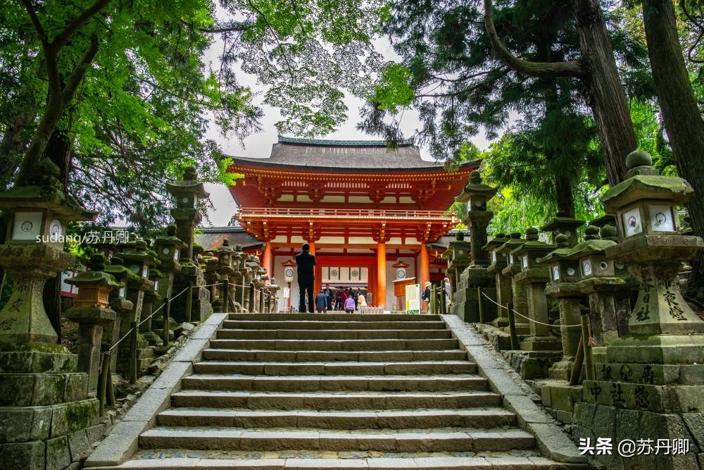 实拍古都奈良，日本三大神社之一：充满石灯笼与神的使者
