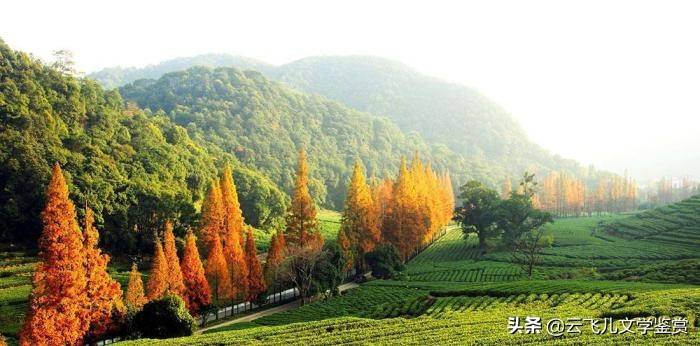 杭州有个依山傍水的古村，是著名的茶乡，景色如世外桃源